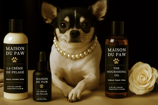 From Routine to Ritual: The Future of Pet Care - Maison Du Paw