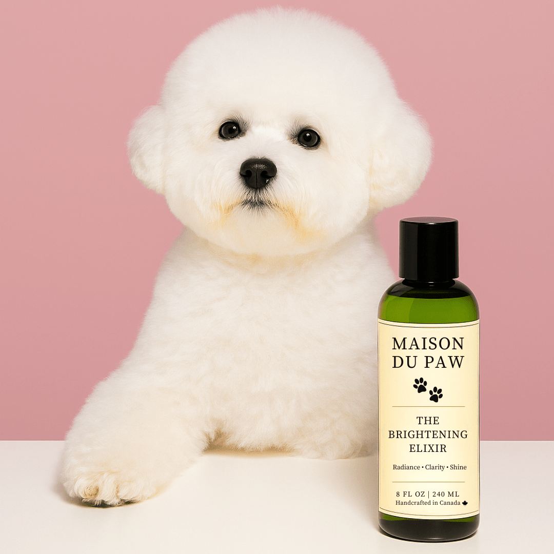 Maison Du Paw – The Brightening Elixir - Maison Du Paw