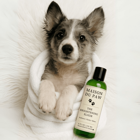 Maison Du Paw – The Brightening Elixir - Maison Du Paw