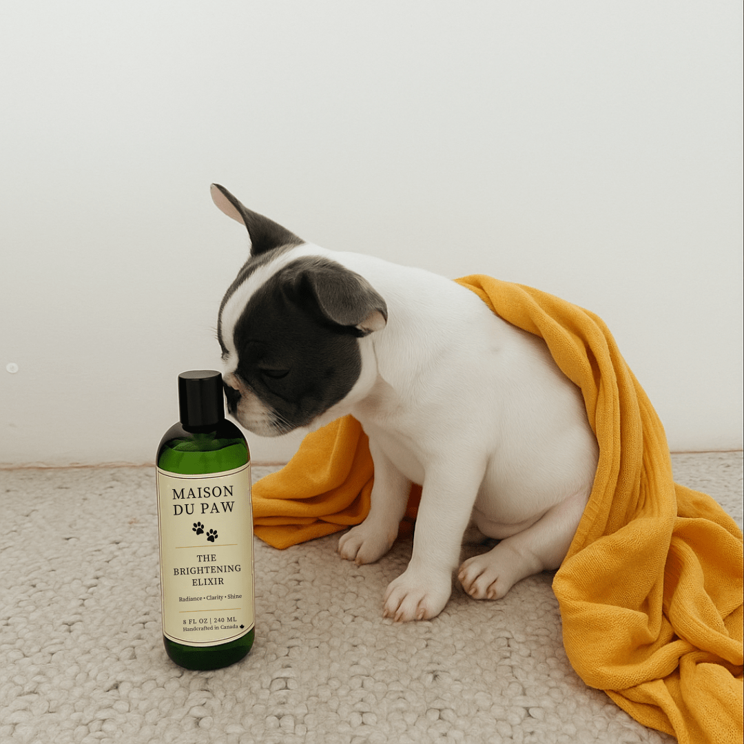 Maison Du Paw – The Brightening Elixir - Maison Du Paw