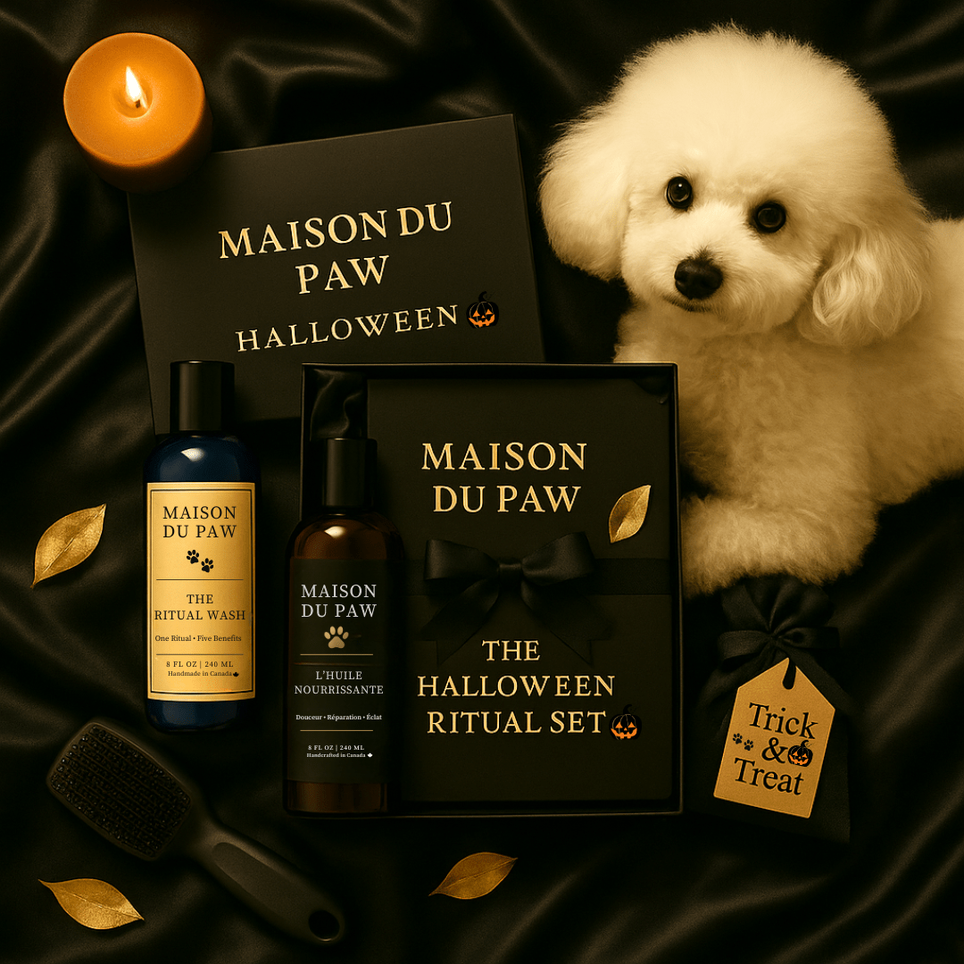 Maison Du Paw – The Halloween Ritual Set (Limited Edition) - Maison Du Paw