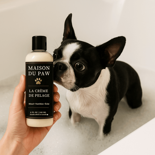 The Couture Ritual Set - Maison Du Paw