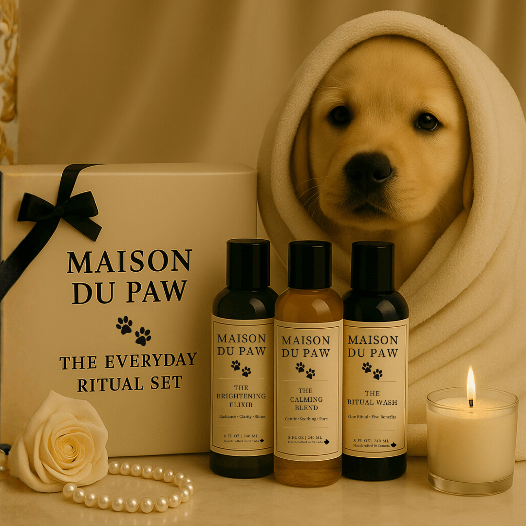 The Everyday Ritual Set - Maison Du Paw