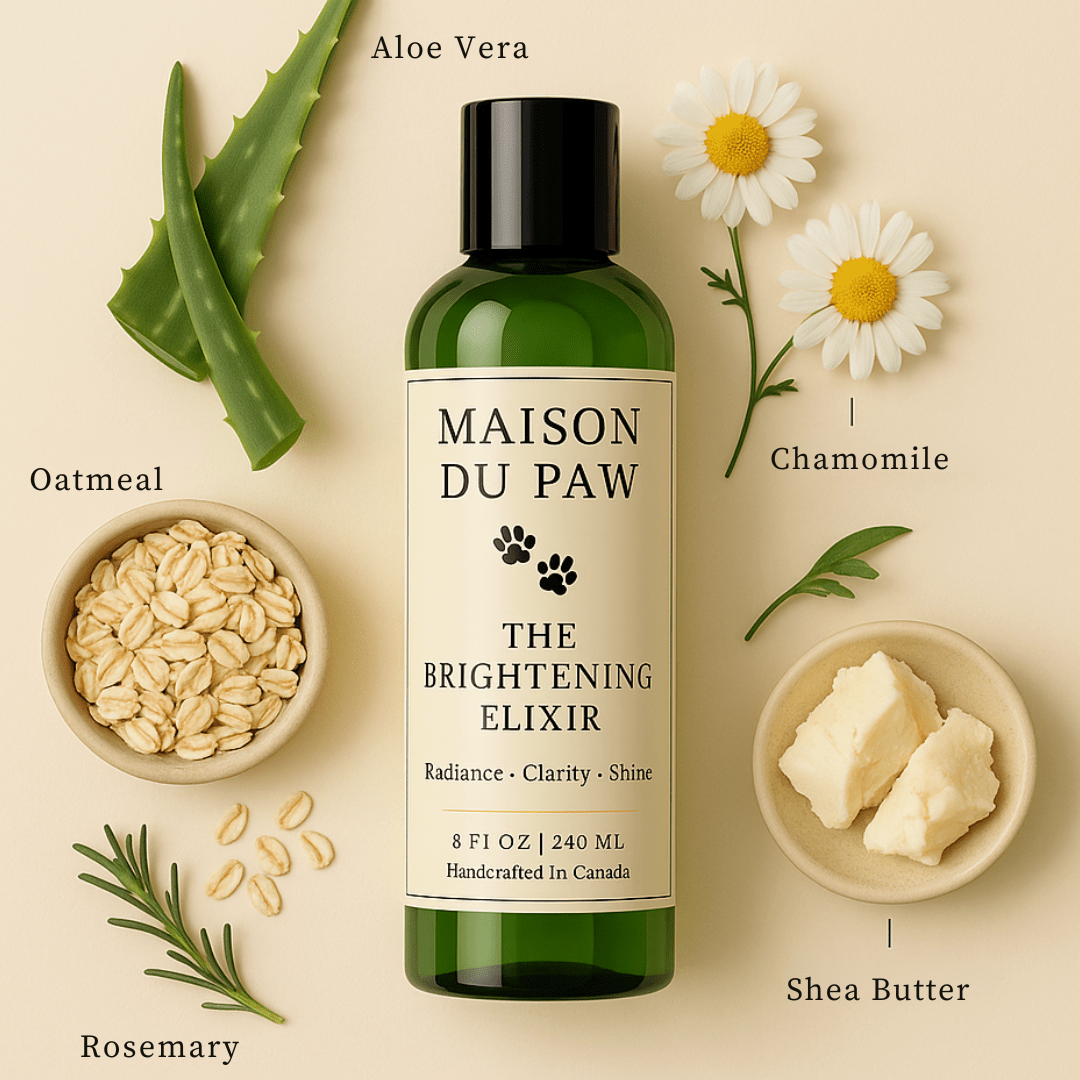 The Everyday Ritual Set - Maison Du Paw