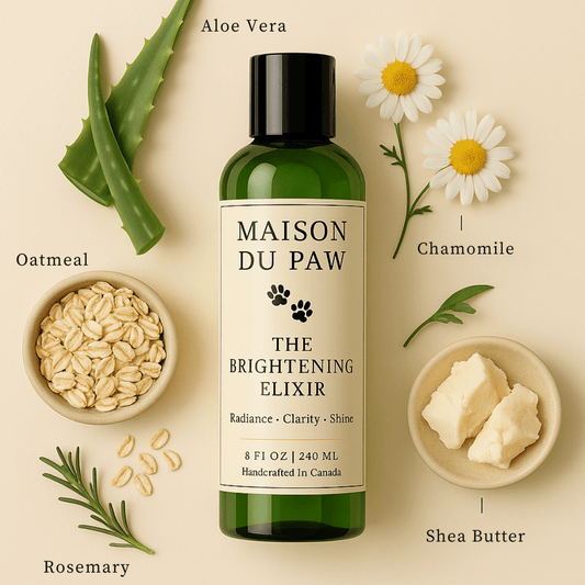 The Everyday Ritual Set - Maison Du Paw