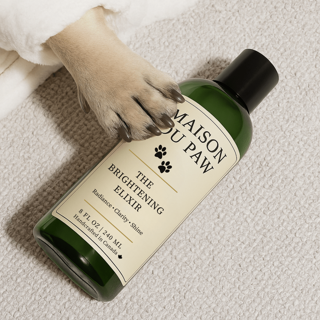 Maison Du Paw – The Brightening Elixir - Maison Du Paw