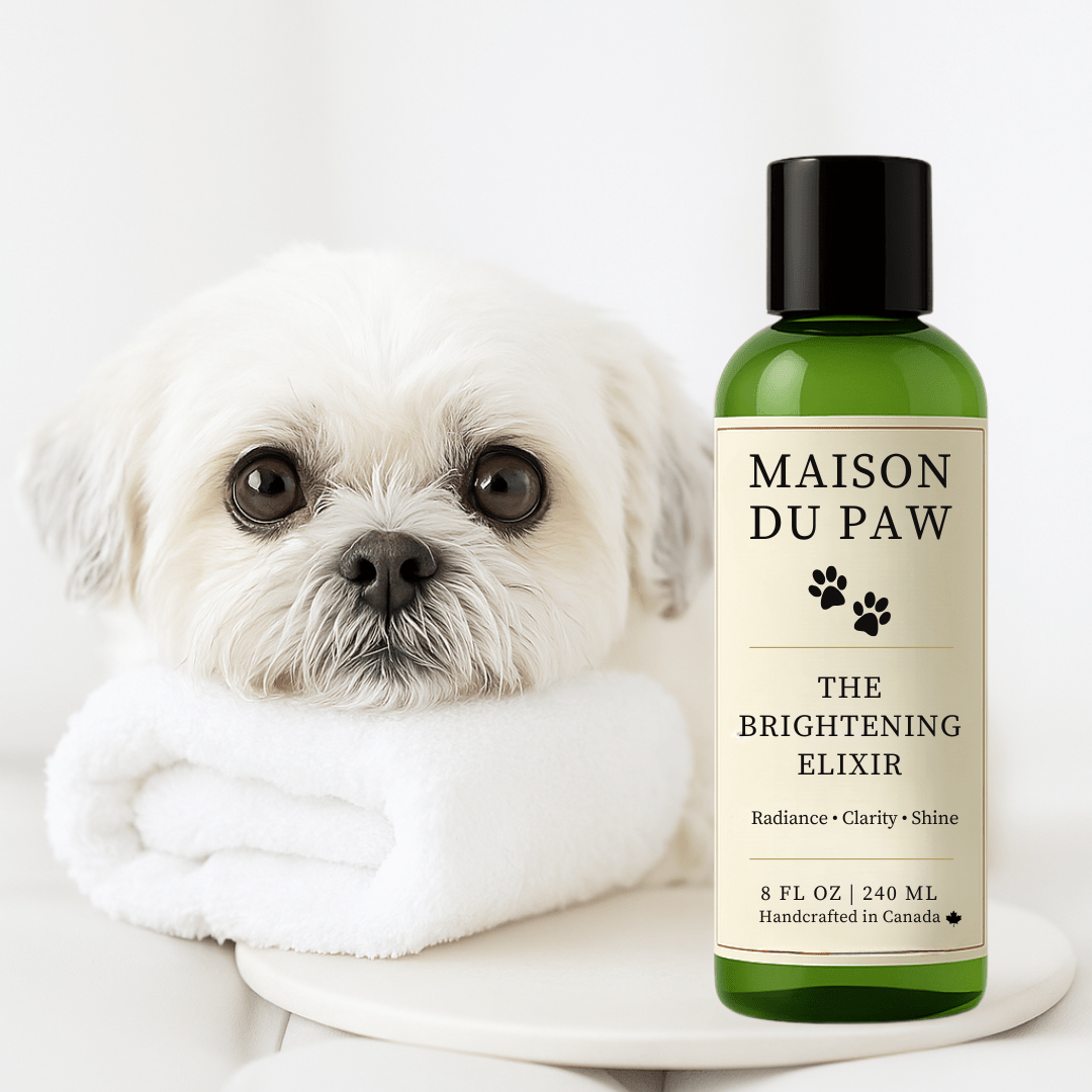 Maison Du Paw – The Brightening Elixir - Maison Du Paw
