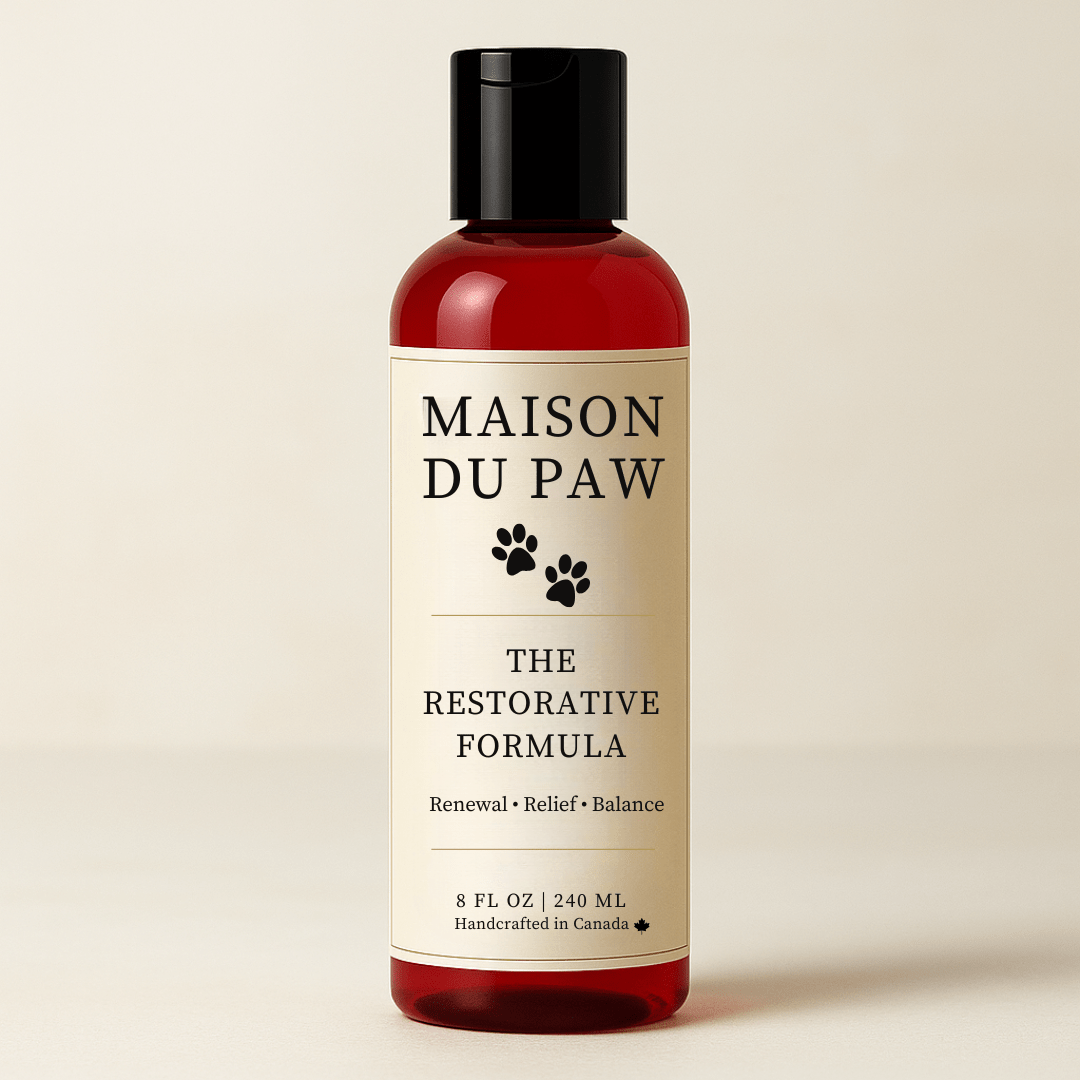Maison Du Paw – The Restorative Formula - Maison Du Paw
